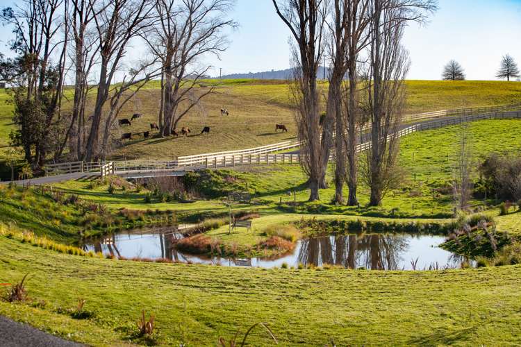 48 Country Lane Matamata_5