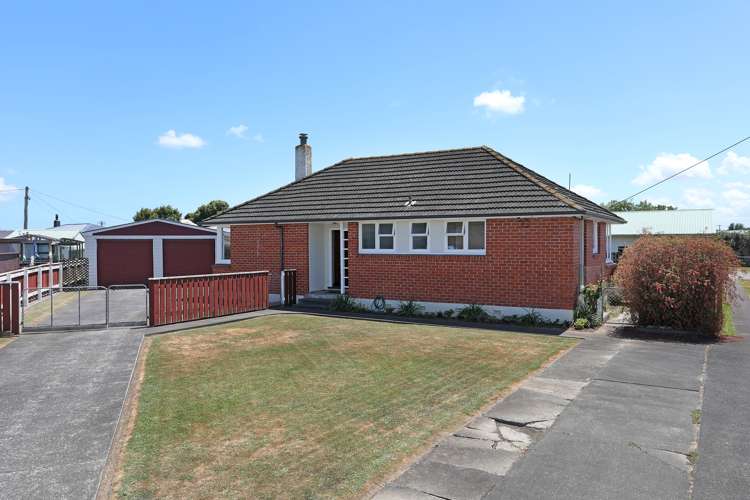 11 Ward Street Bulls_12