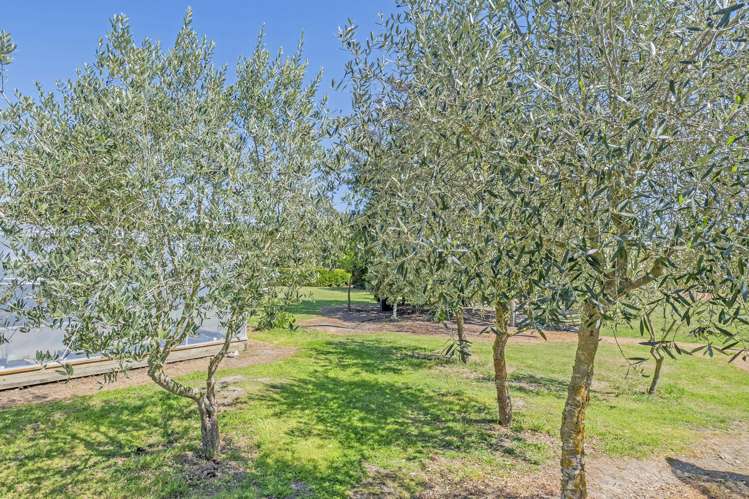 1103 Downs Road West Eyreton_46