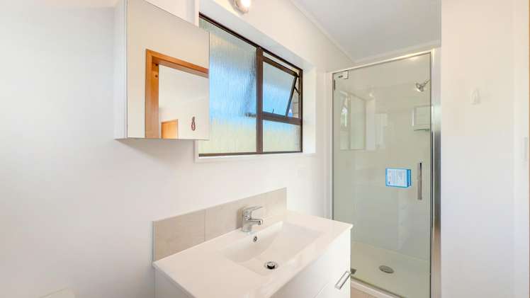 401 Millington Place Thames_4