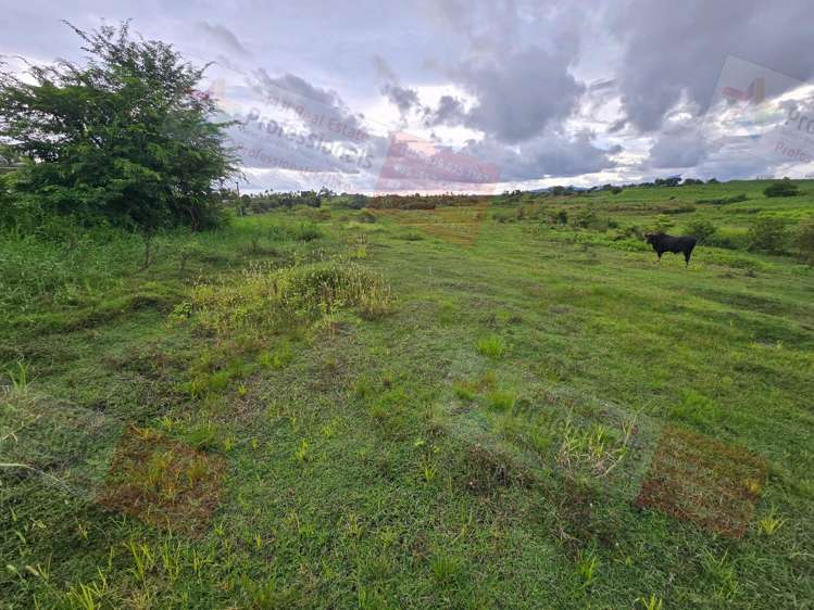 Address withheld Sonaisali_23