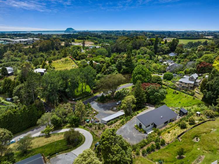 5 Corbett Drive Wairoa_18