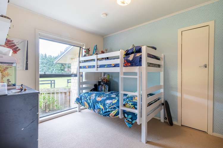 191 Hautapu Road Pukemoremore_10