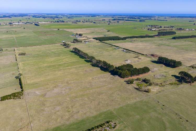 177 Downs Road Himatangi_9