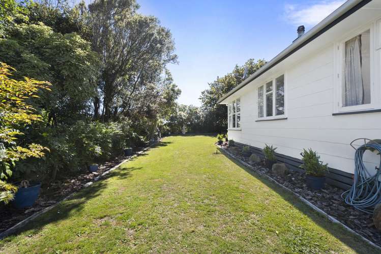 22 Ward Street Bulls_17