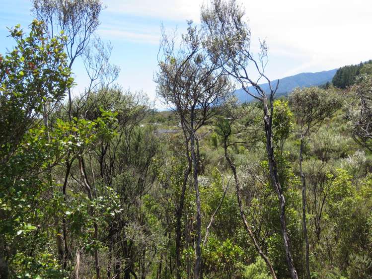 1022A Fairdown Road Fairdown_7