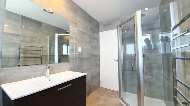 246 Queens Road Panmure_3