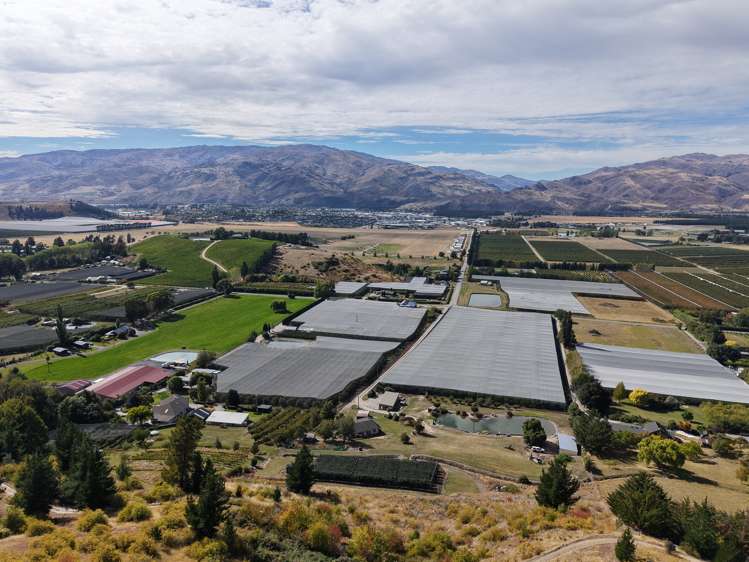 260 Ripponvale Road Cromwell_15