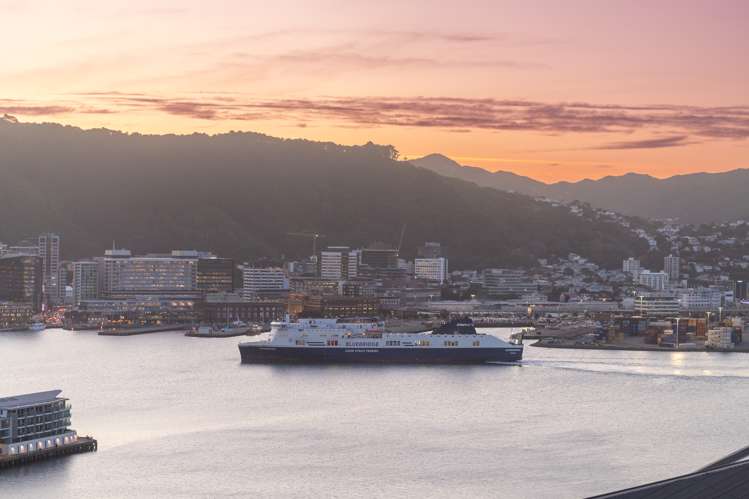 19 Shannon Street Mount Victoria_14