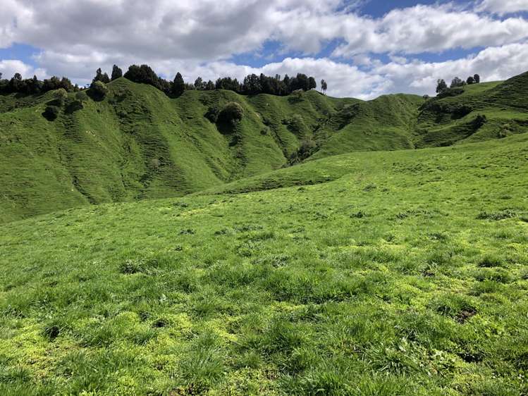 1041 Paparoa Road Whanganui National Park_21