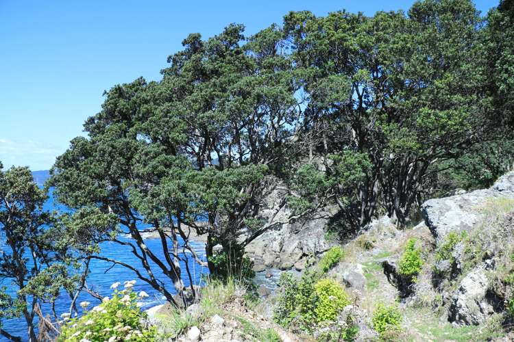 14 Boulder Bay Drive Tuateawa_18