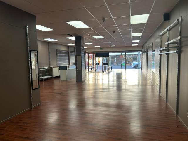 246 Emerson Street Napier South_2