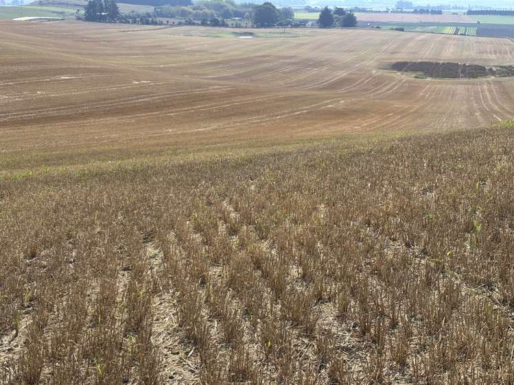 120 Fortification Road Kakanui_18