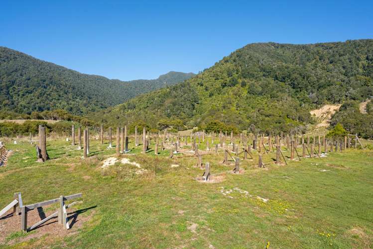 30 and 32 Matai Street Tennyson Inlet_28