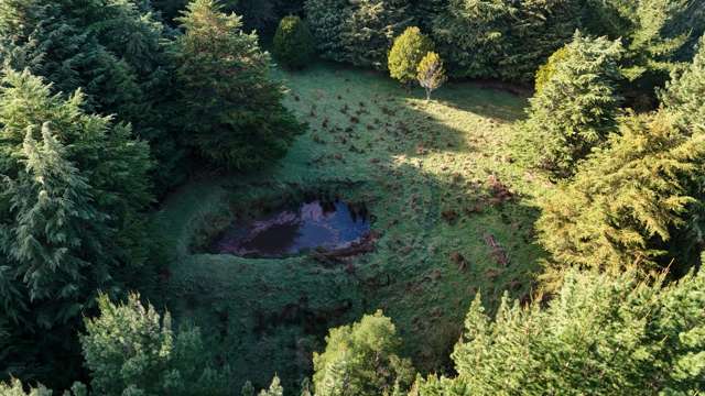 Okirae Road Mangamahu_3