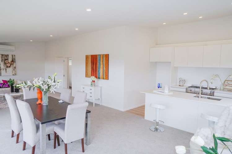 1100 Scenic Drive Swanson_6