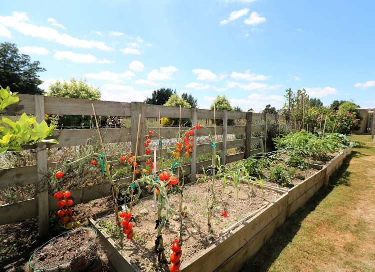 81 Lincoln Road Carterton_14