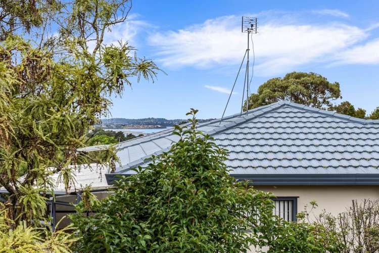 5 Hassan Drive Massey_5