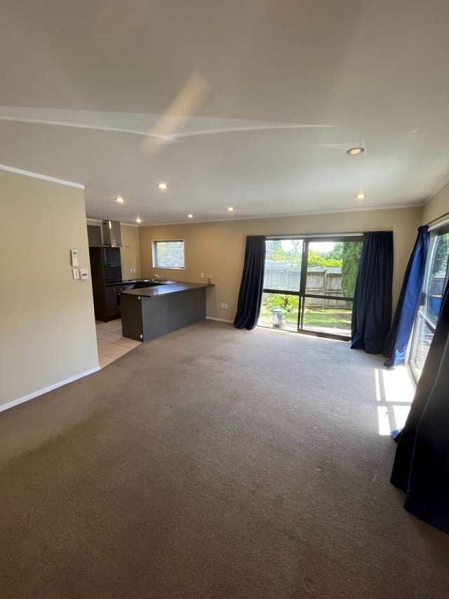 164 Hutchinson Avenue New Lynn_1