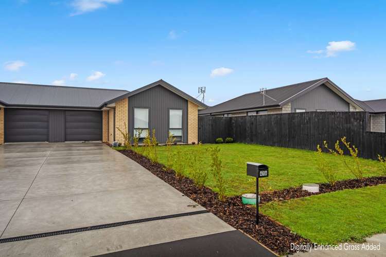 41 Waikirikiri Avenue Lincoln_23