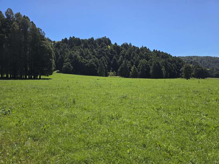 1822 Otewa Road Waimahora_26