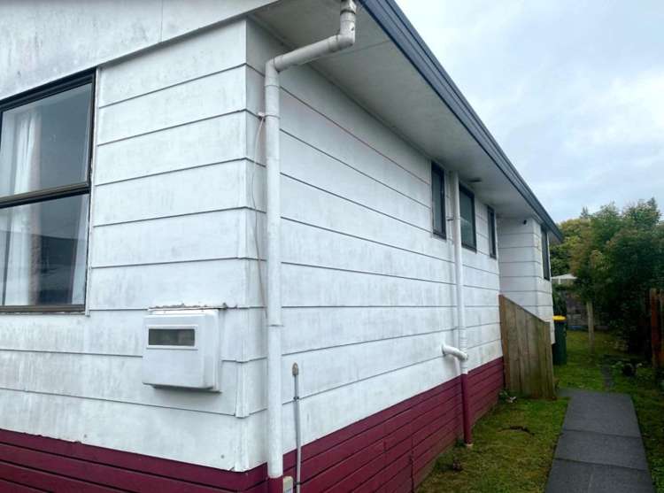 4c Tui Avenue 1066_12