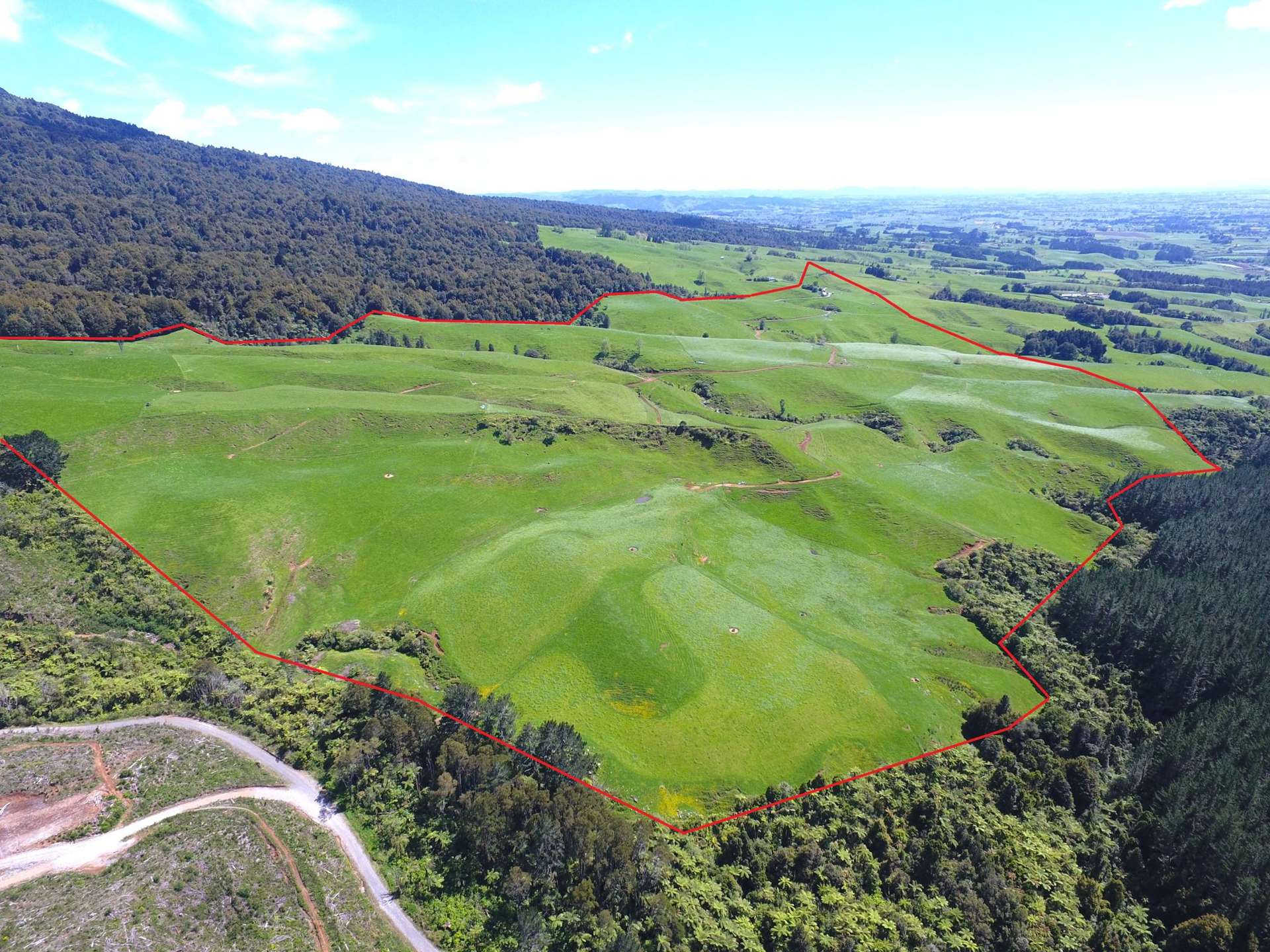 3/585 O'Shea Road Pirongia_0