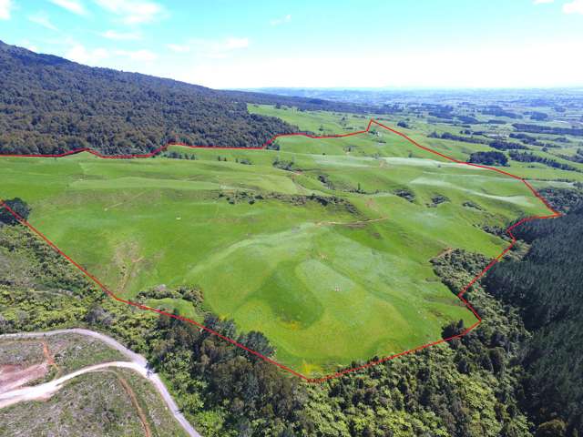 So Much More Than Just a Farm