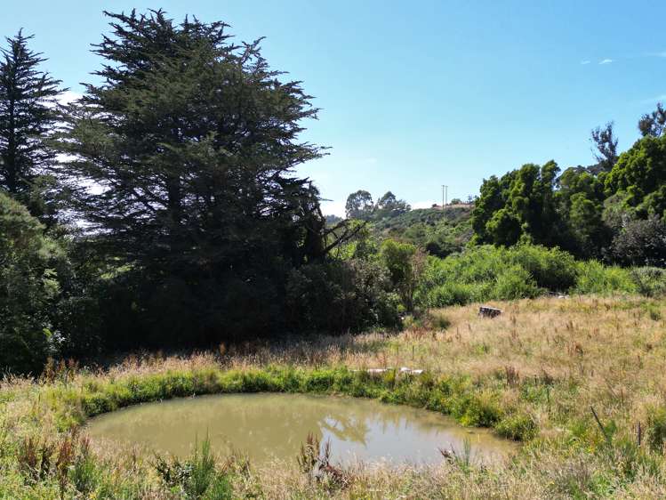 462 Waitati Valley Road Upper Waitati_23