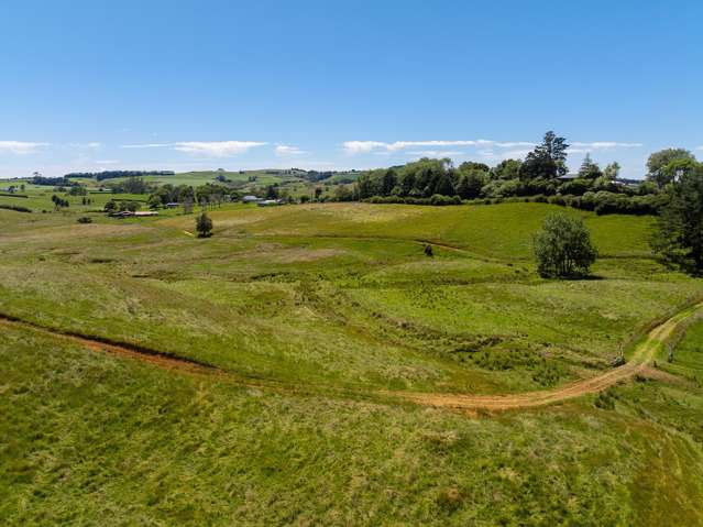 356 Klondyke Road Onewhero_1