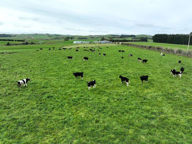 289 Woodslea Downs Road Pine Bush_12