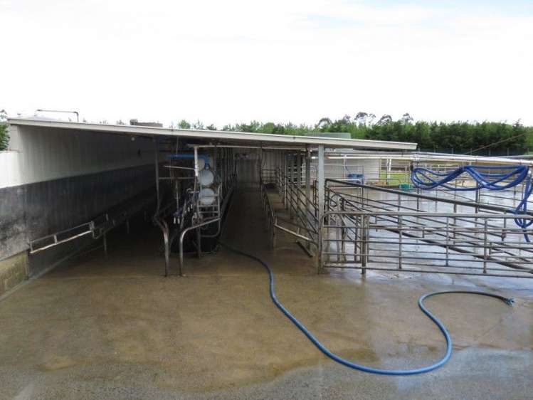 80 Avery Road Pahiatua_2