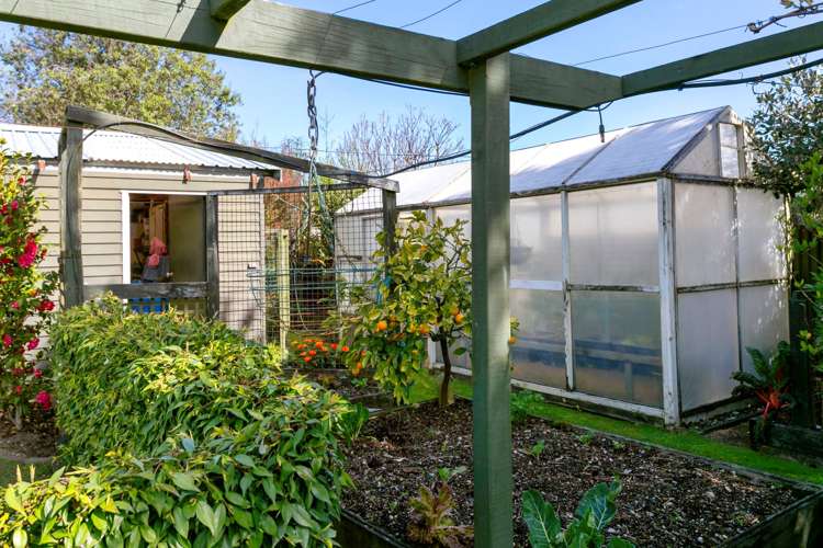 57 Elizabeth Street Tauhara_16