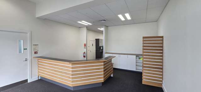 61 Mandeville Street Riccarton_4