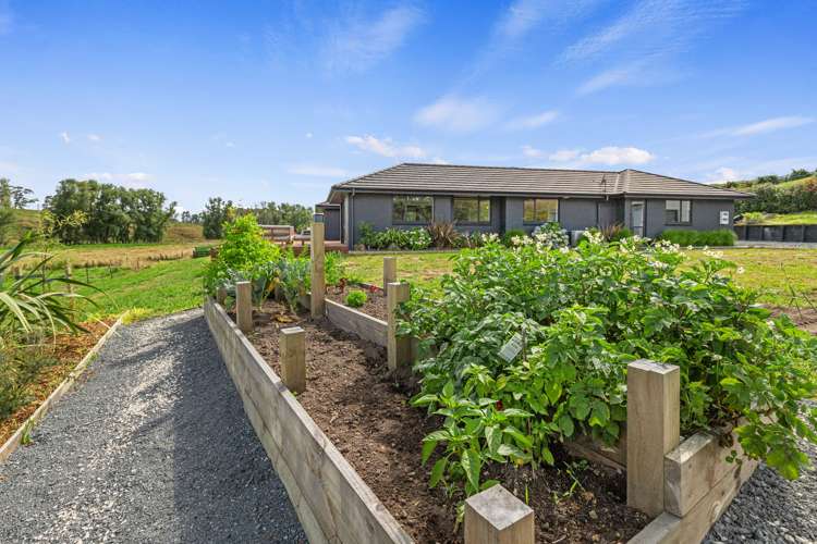 107 Vineyard Road Te Kauwhata_26