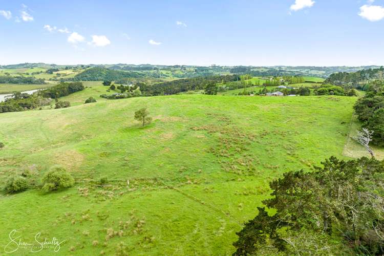 Pahi Road Paparoa_22