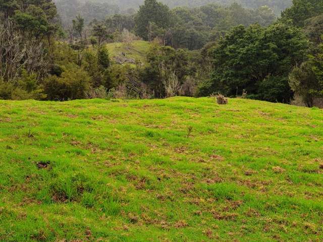 Lot 1/0n Bull Road Paparoa_3