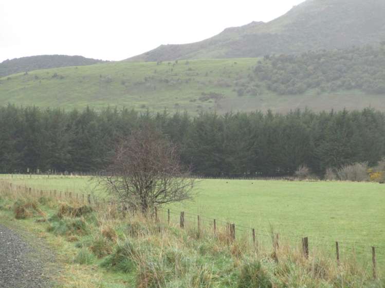 Owaka Valley Road Owaka_5