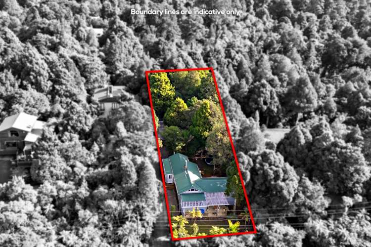 38 Turanga Road Henderson Valley_20