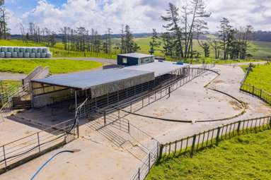 271 Pataua South Road_4