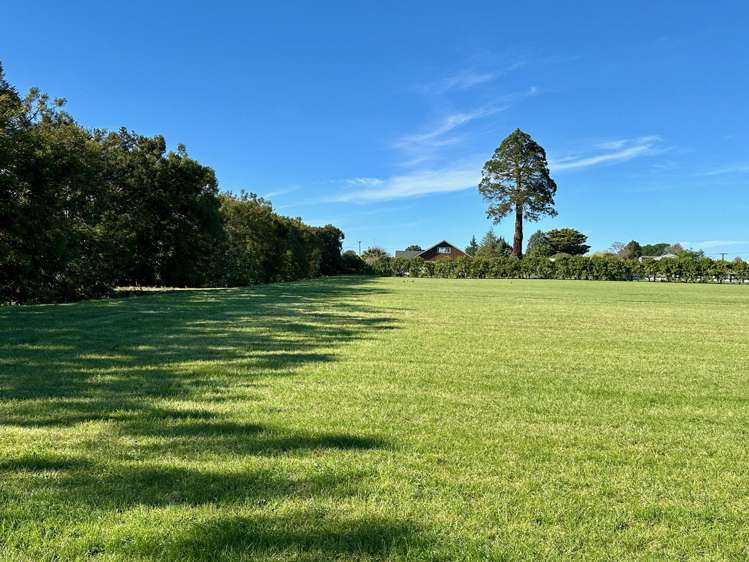 Lots 2, 3 & 4 Toru Street Makaraka_8