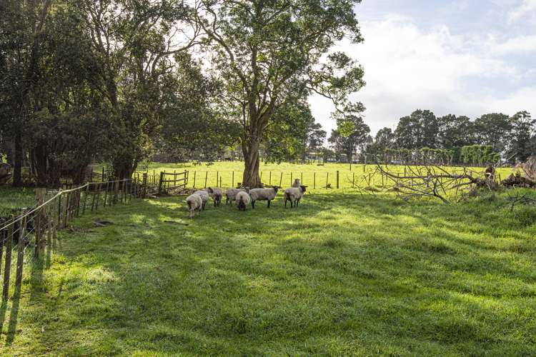 587b Crane Road Kauri_30