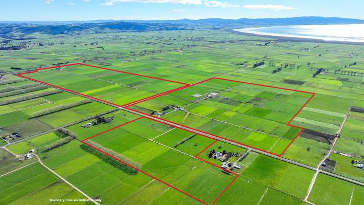 400 Hopai West Road Waitakaruru_0