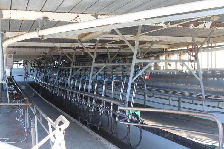 109 Vaughan Road Takapau_14