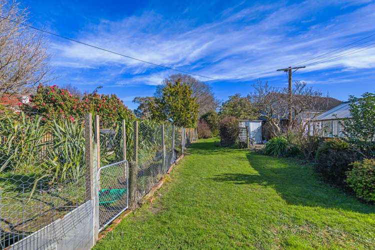 33 Daniell Street Bulls_16