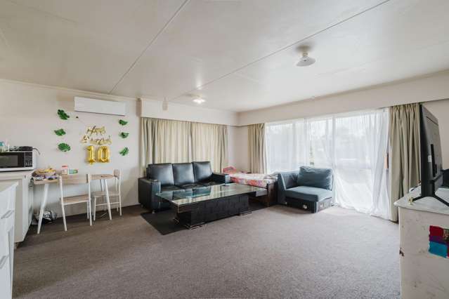 145 Massey Street Frankton_4