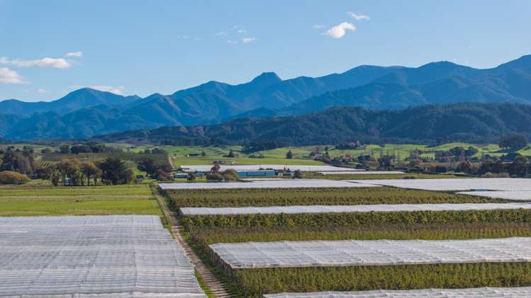 2514 Moutere Highway, Lower Moutere Motueka_20