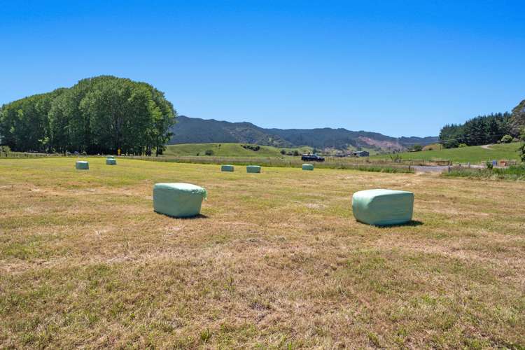 690 Taneatua Road Taneatua_12