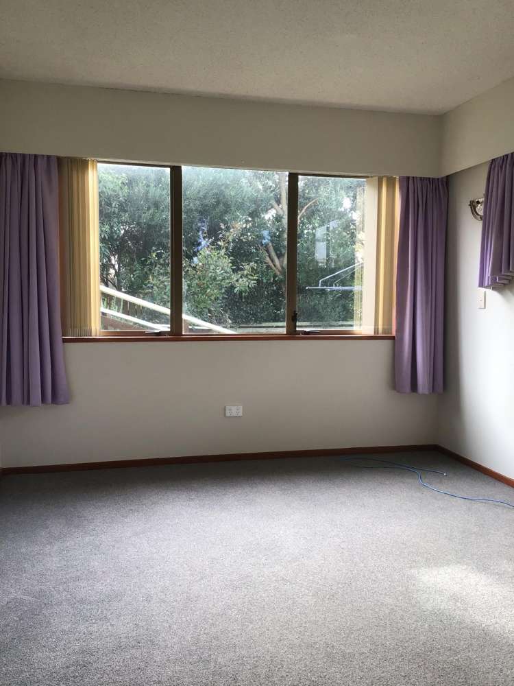 53 Young Street Morrinsville_13