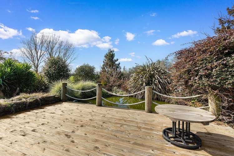 295 Scott Road Morrinsville_16